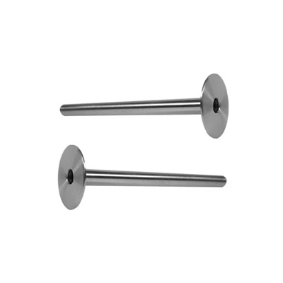 Thermokoppel Tantaal Beschermbuis